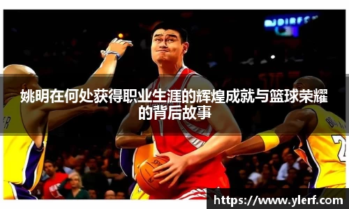 姚明在何处获得职业生涯的辉煌成就与篮球荣耀的背后故事